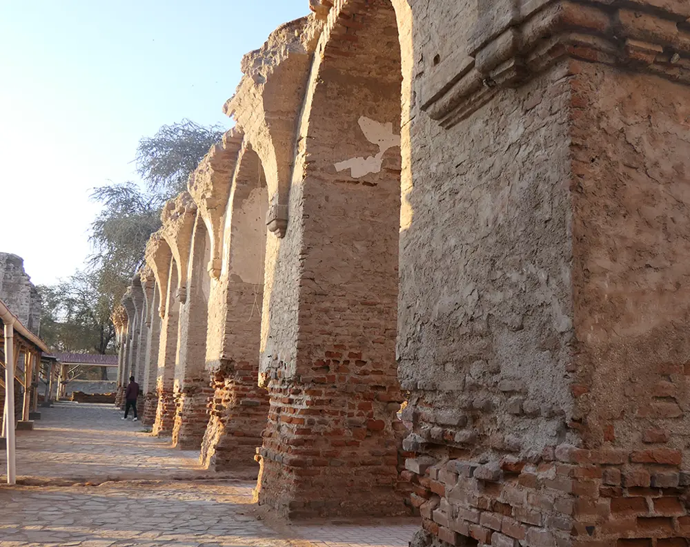 Gestión y Preservación del Patrimonio Cultural